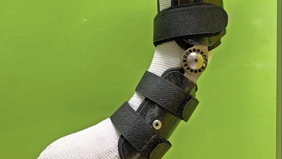 Orthese für den Hund
