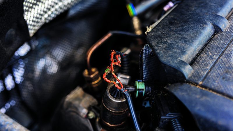 Bild unten: In Motorräumen von Autos nagen Steinmarder häufig Kabel an.