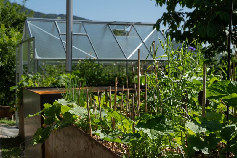 Mira Romer: Bio & Natur Hanggarten