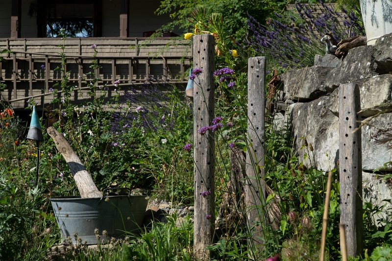 Mira Romer: Bio & Natur Hanggarten