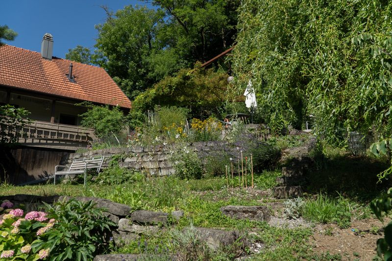 Mira Romer: Bio & Natur Hanggarten