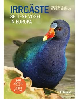 Irrgäste – Buchcover