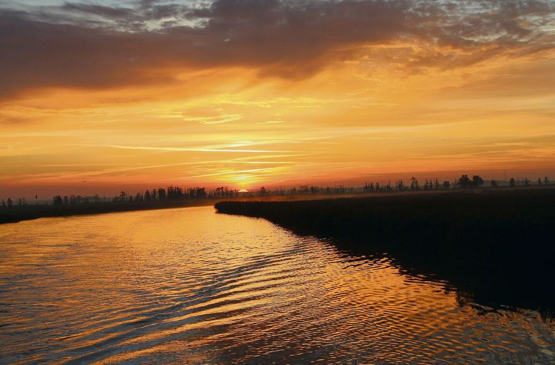 Auf dem «Amazonas des Nordens», der Peene.