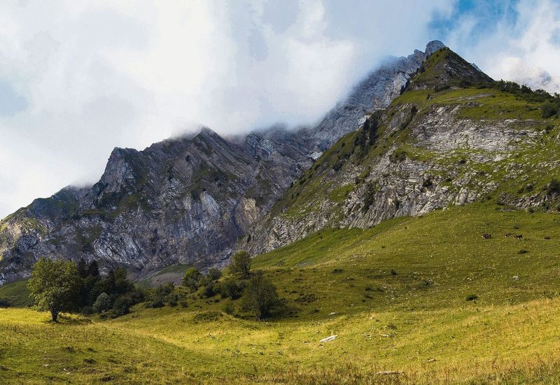 Wegen wärmeren Temperaturen verschieben sich die Lebensräume der Baumarten in höhere Lagen.