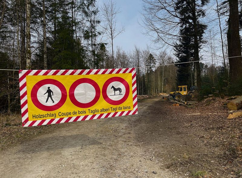 Achtung Holzschlag