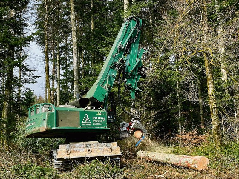 Durchgangsverbote (oben) sind zum Schutz der Waldbesucher installiert.Die Forstmaschine (mitte) kann Bäume fällen, entasten und zerteilen.Zahlen auf den Stämmen (unten) dienen als Informationen für den Förster.