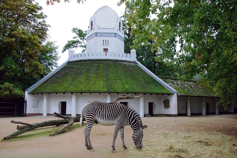Grevy-Zebra vor dem historischen Persischen Turm. Unten: Kirk-Dikdik, Leopard und Totenkopfäffchen.