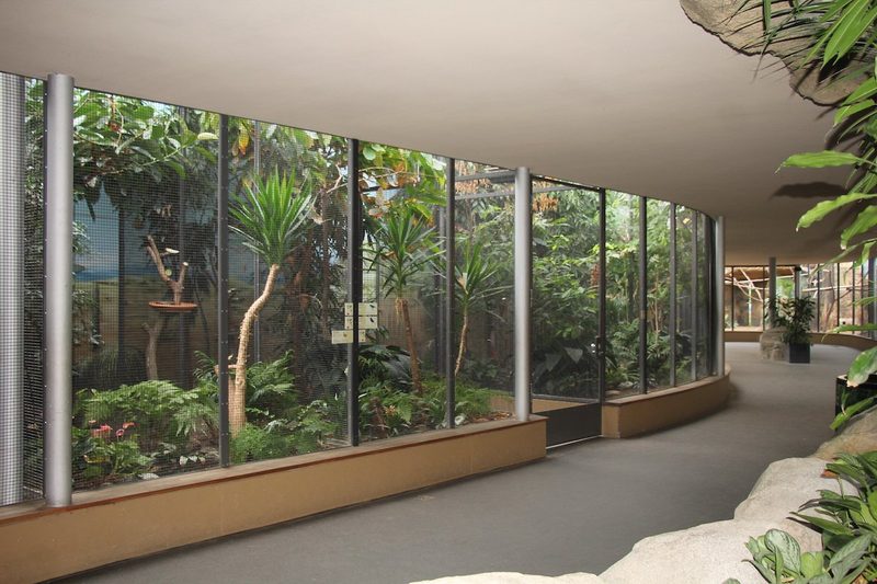 Der Berliner Zoo im Laufe der Zeit
