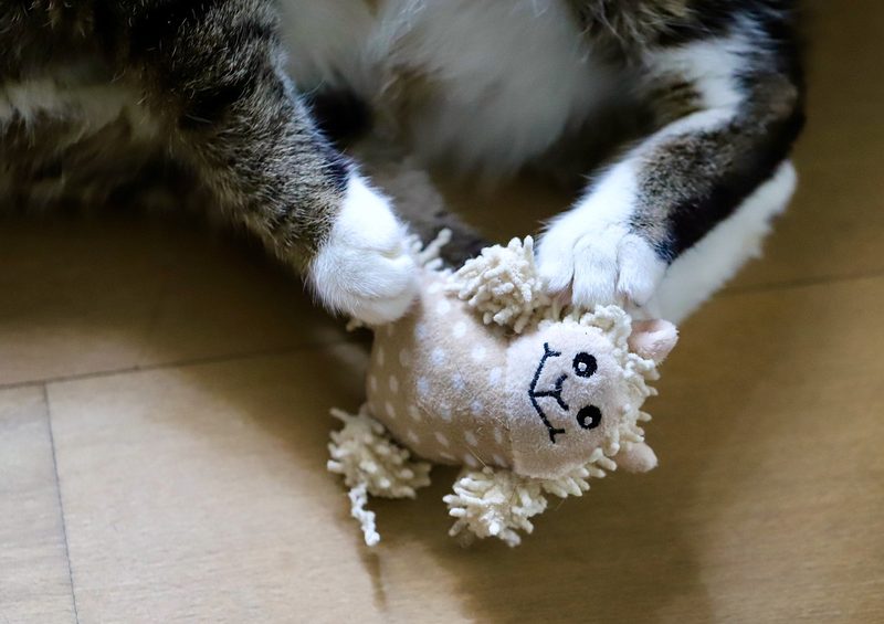 Häkeln und Stricken für Tiere