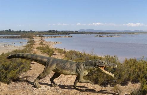 01-Ticinosuchus-Museum-Meride.jpg