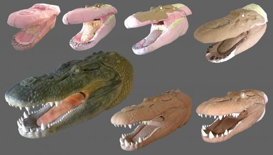 09-Purrusaurus-Arbeitsverlauf-fertig-.jpg