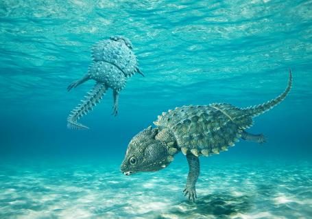 03-Cyamodus-Tessiner-Reptil-fuer-Meride.jpg