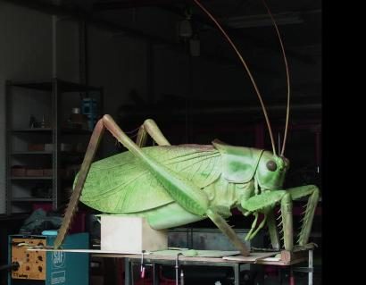 11-Heuguemper-fuer-Naturama-AG.jpg