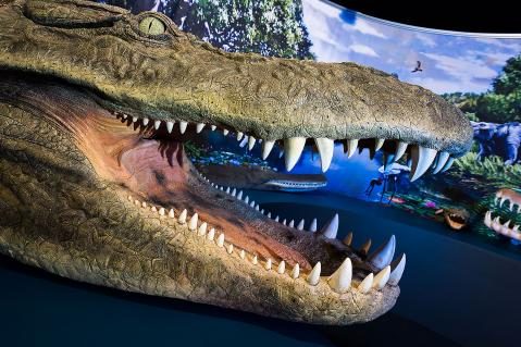 10-Purrusaurus-fuer-Museum-in-Medelin-Colombia--Foto-Bruederli.jpg