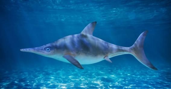 06-Ichthyosaurus-Natur-06-Winterthur.jpg