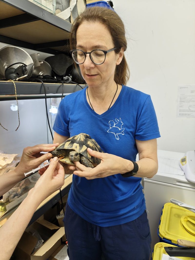 Exotenpraxis Cham: Wo Schlangen, Schildkröten und Papageien gesund werden