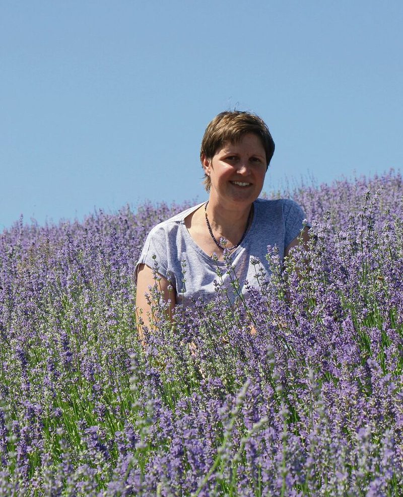 Helen Wegmüller betreut während der Blütezeit Gäste, die im Lavendelfeld übernachten.