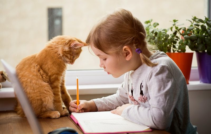 Tierische Freunde für Kinder