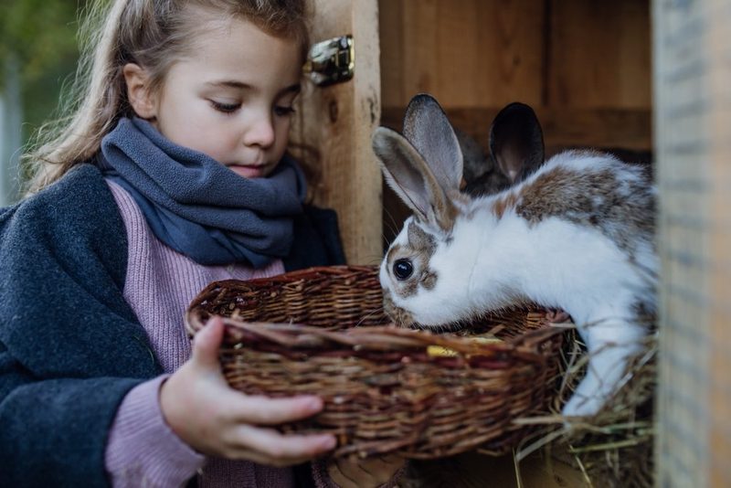 Tierische Freunde für Kinder
