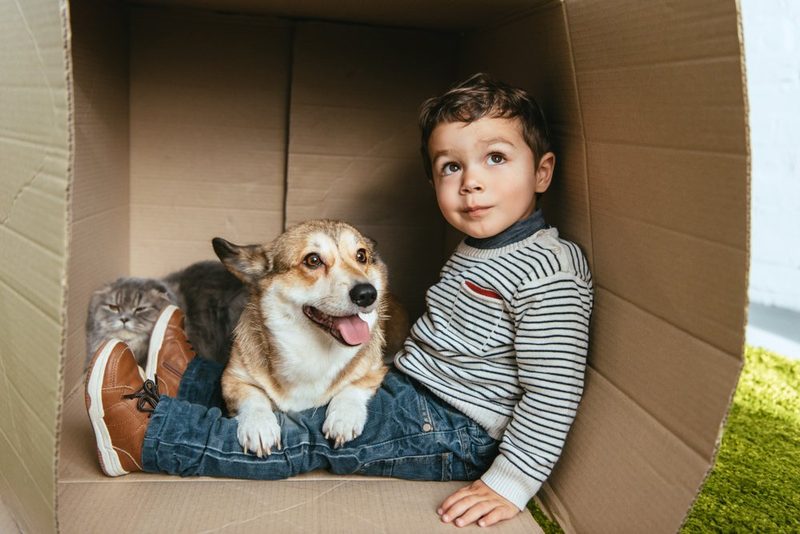 Tierische Freunde für Kinder