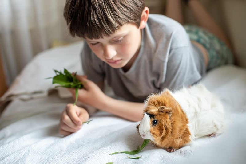 Tierische Freunde für Kinder