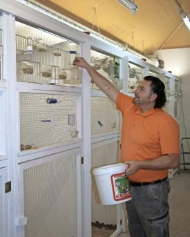 Michele Coviello füttert seine Vögel
