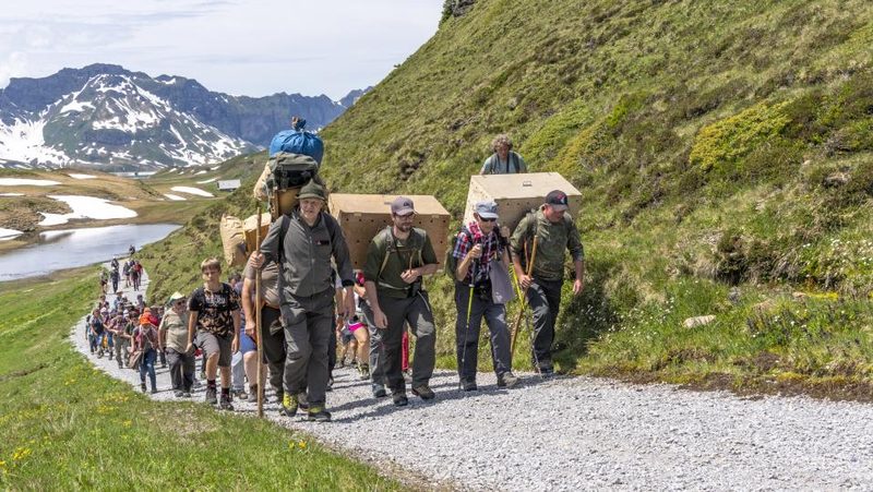 Wanderung zum Bartgeier-Auswilderungsplatz