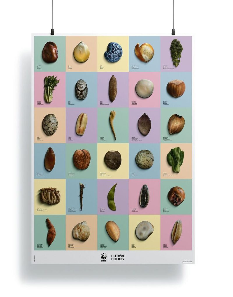 «Future Foods» solle