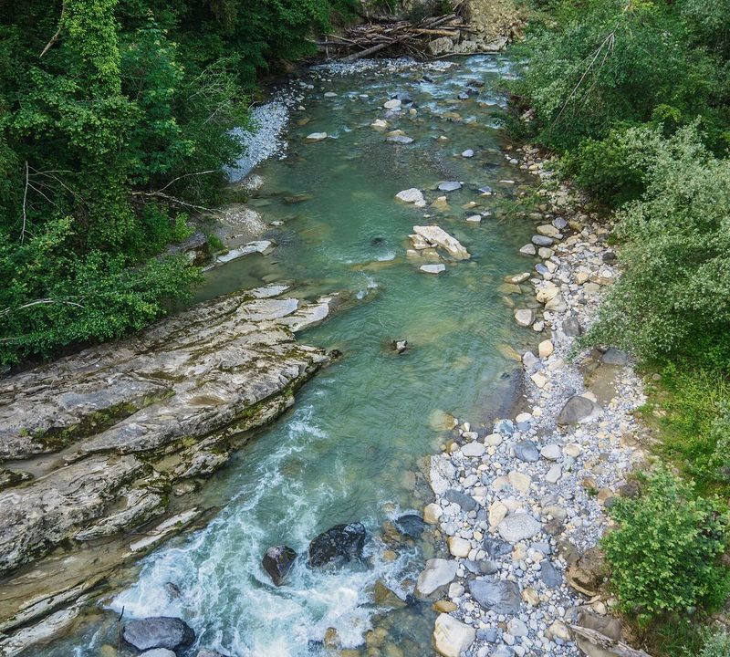 Alluvial and Amphibian Area on the Goldach River, Mörschwil – Goldach, Canton of St. Gallen, Switzerland