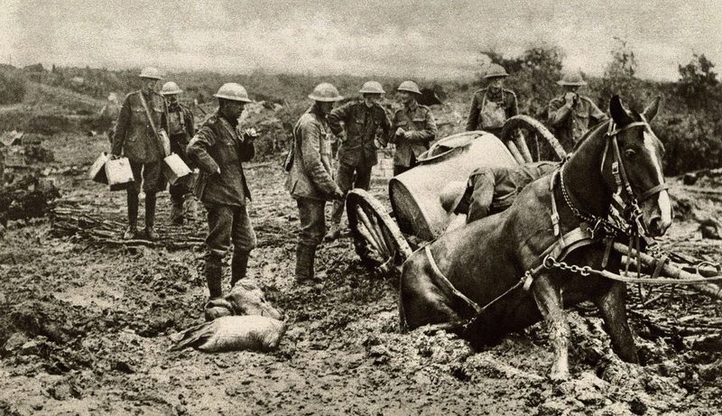 1. Weltkrieg: Ein britisches Pferd sinkt 1914 im Schlamm ein.