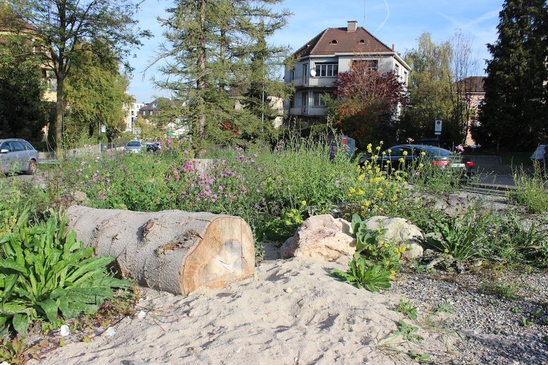 Die Stadt Zürich wird immer grüner