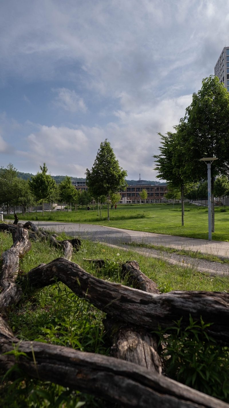 Die Stadt Zürich wird immer grüner