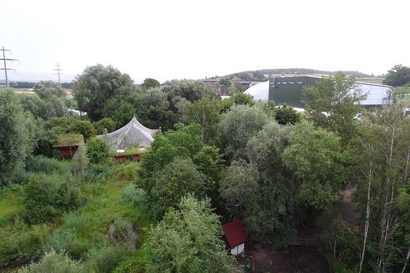 Neuer Beobachtungsturm im Papiliorama