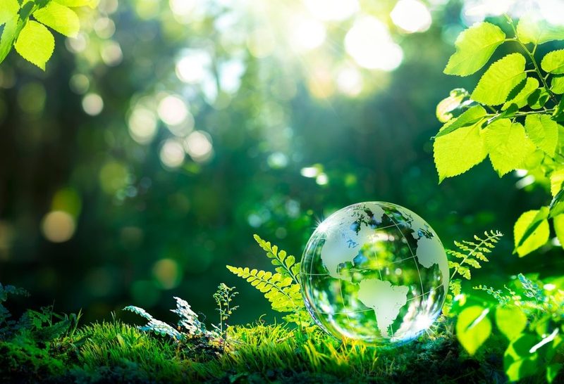 «Im Klimabereich gibt es keine Musterschüler»