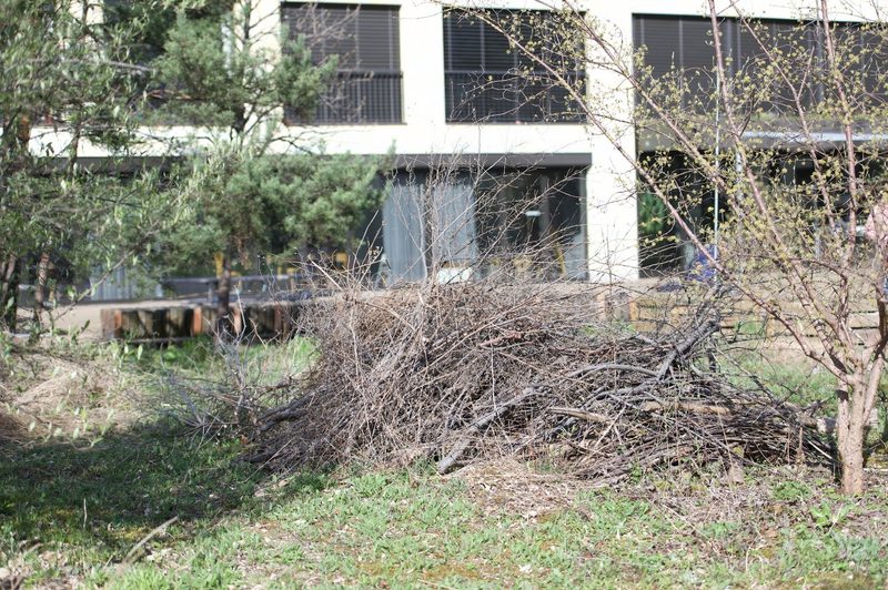 Do it yourself: Anleitung für Asthaufen und Steinhaufen
