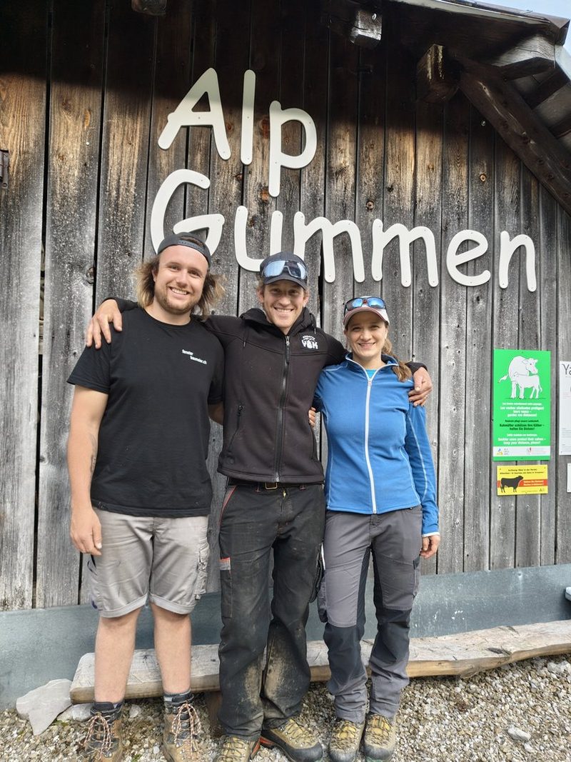 Alltag mit Tieren, Freundschaften fürs Leben: Zivildienst auf der Alp