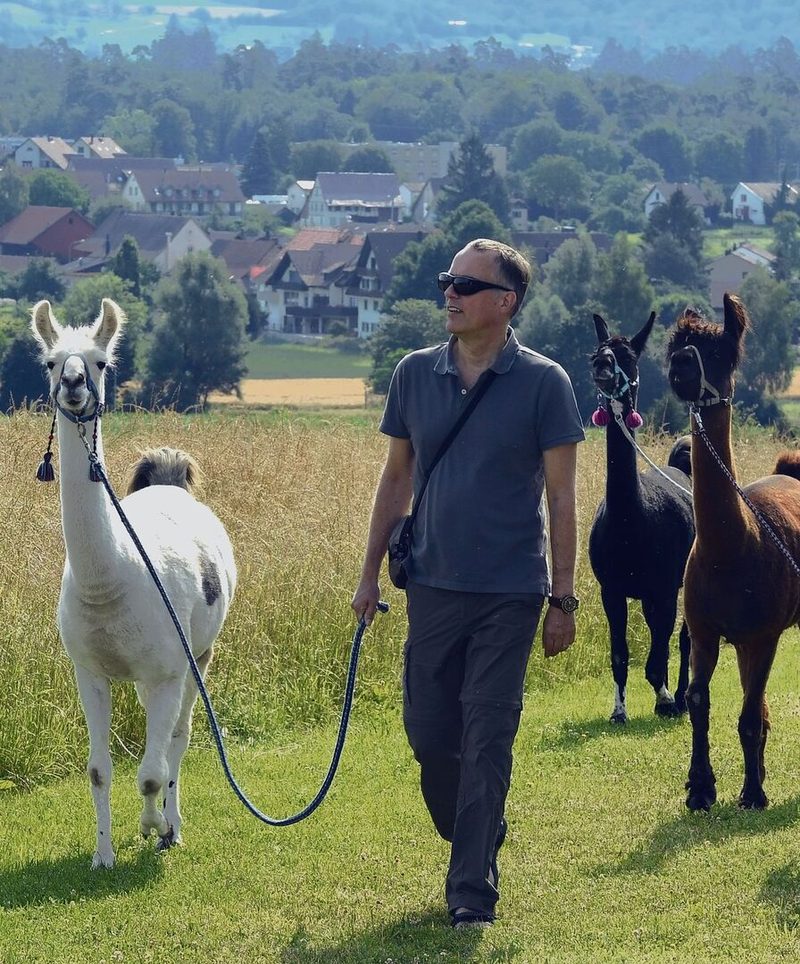 Lama trekking
