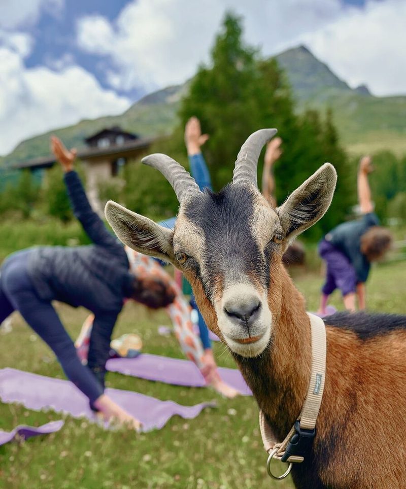 Geissen Yoga