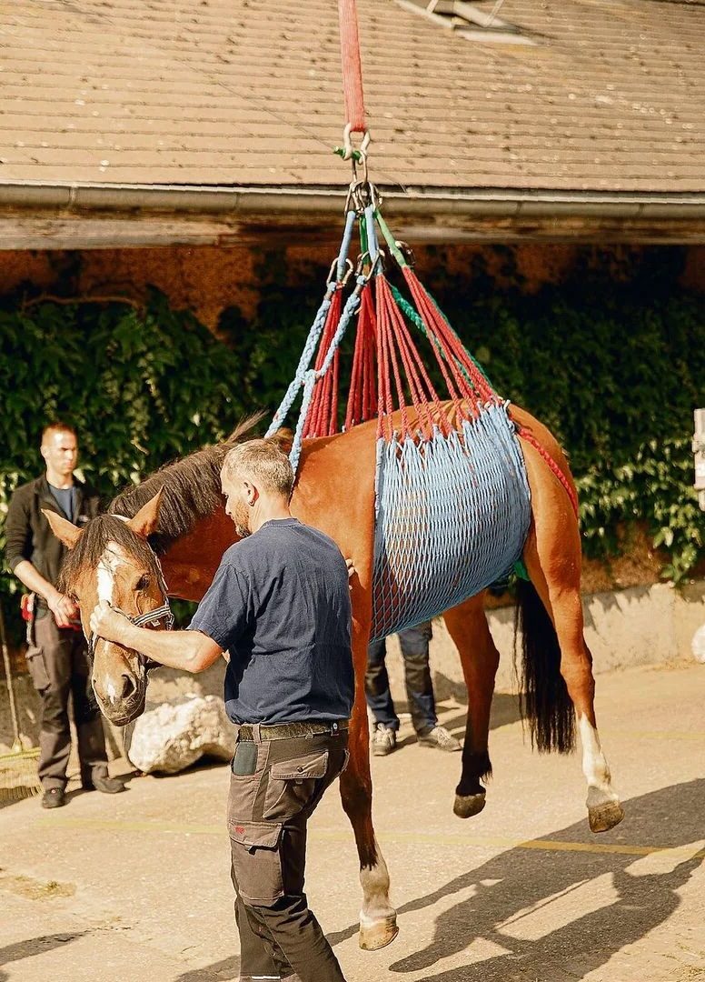 Per Flaschenzug aus dem Gülleloch