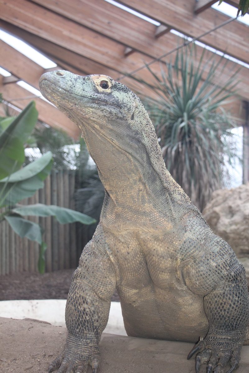 Rundgang durch zoologische Institutionen in der Schweiz