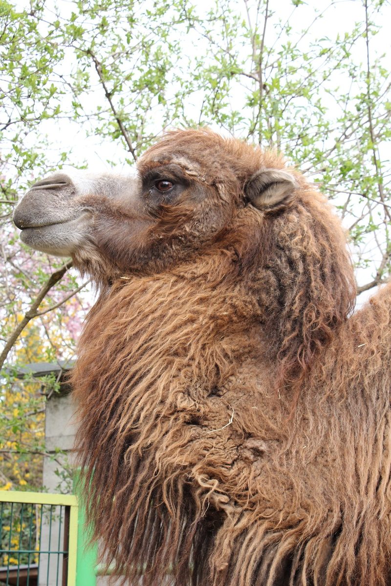 Rundgang durch zoologische Institutionen in der Schweiz