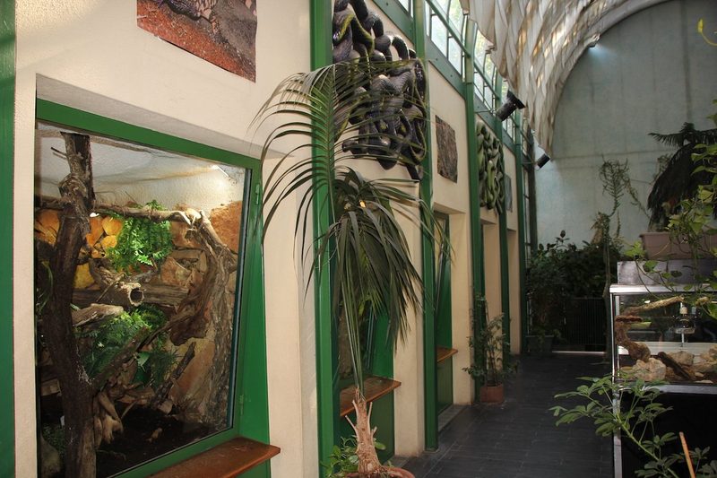 Rundgang durch zoologische Institutionen in der Schweiz