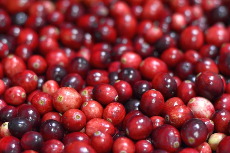Superbeeren, Swiss Made