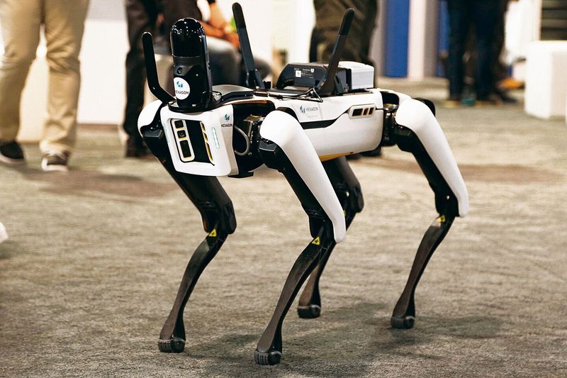 Der künstliche Hund, der unsere Daten frisst