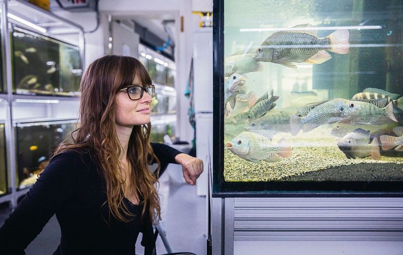 Können Tiere intelligent sein?