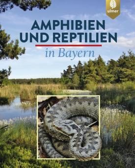 Buchtipp Amphibien und Reptilien in Bayern