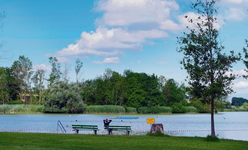 Vis-à-vis vom StrandbadMoossee im Kanton Bern: Hier soll das Fischzentrum entstehen.