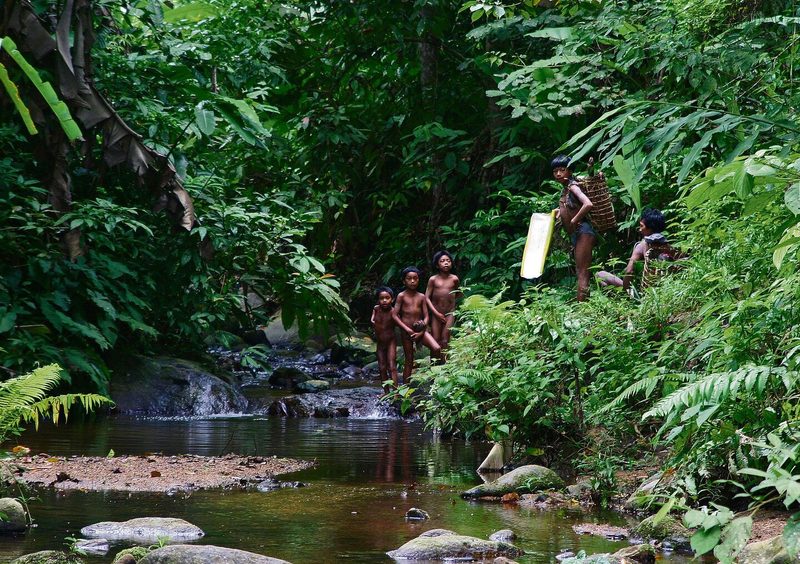 Die Maniq leben isoliert tief im Thailändischen Regenwald.