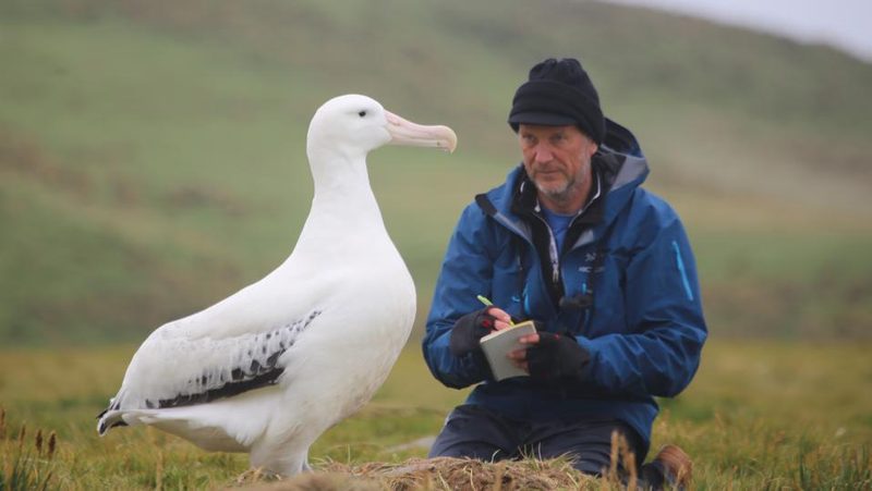 Albatrosforschung