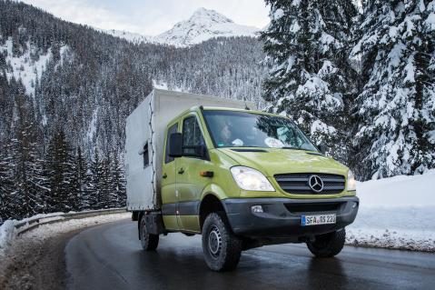 Der Transporter bringt die Bärin nach Arosa.